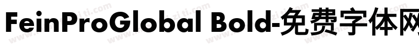 FeinProGlobal Bold字体转换